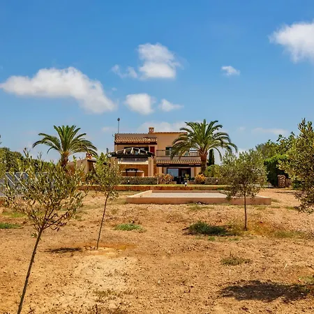 Talaia By Dracmallorca Cala Figuera (Mallorca)